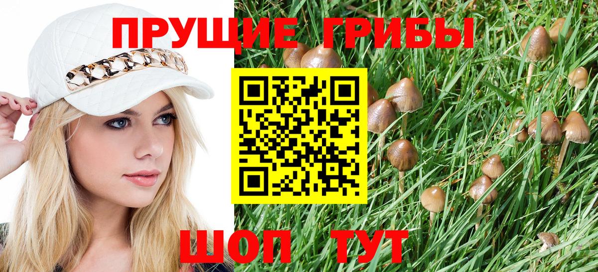 Псилоцибиновые грибы ЛСД Верхняя Пышма