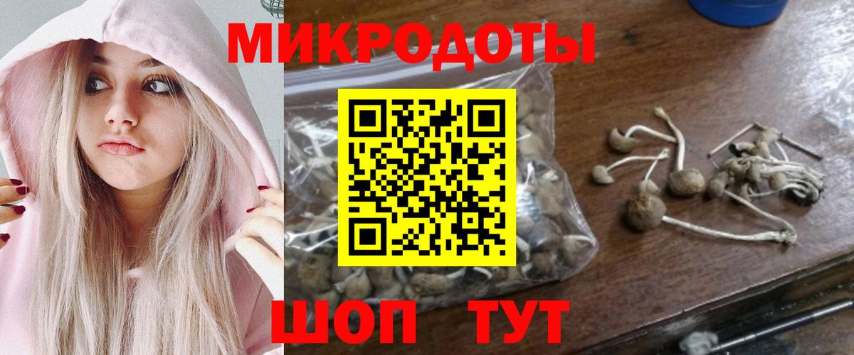 Псилоцибиновые грибы MAGIC MUSHROOMS  Галлюциногенные грибы мицелий  Верхняя Пышма  Вход с VPN 